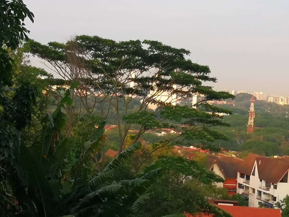 Tanah utk dijual di Seksyen 7 Shah Alam - photo 2