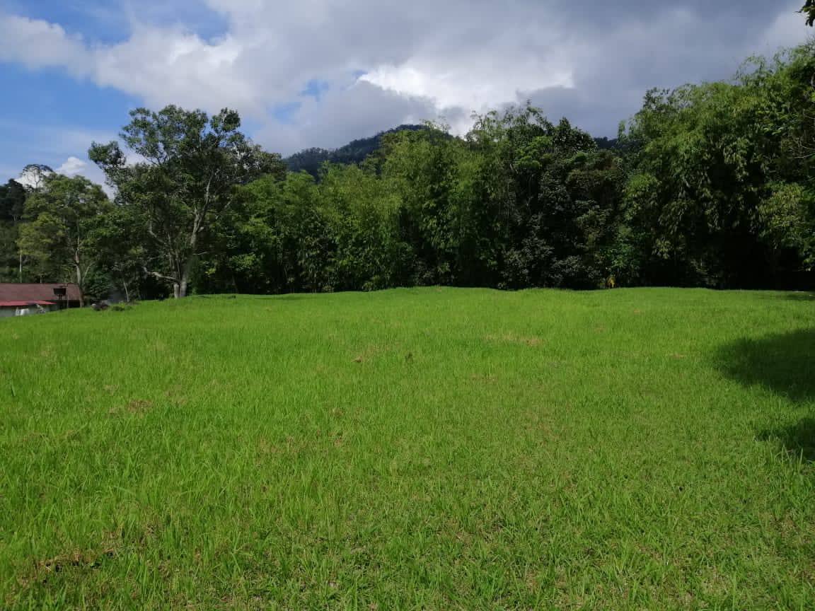 Janda Baik - photo 5