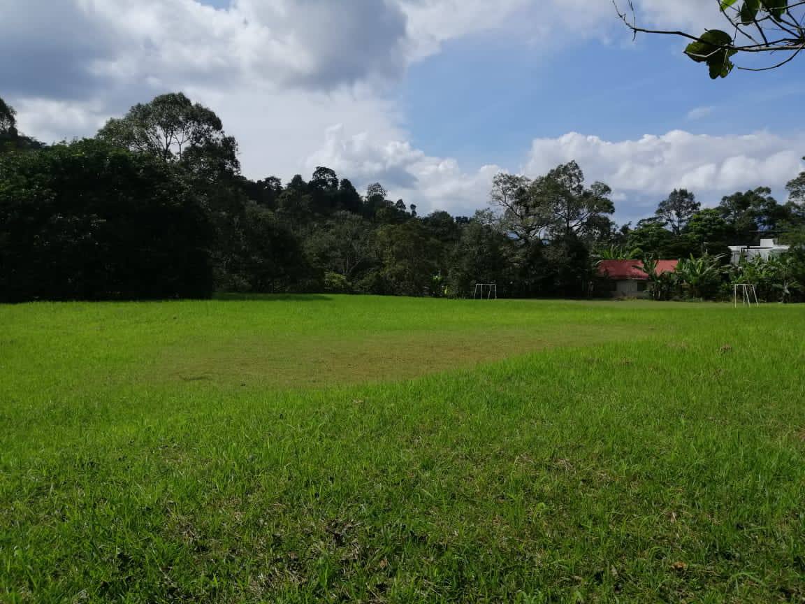 Janda Baik - photo 6