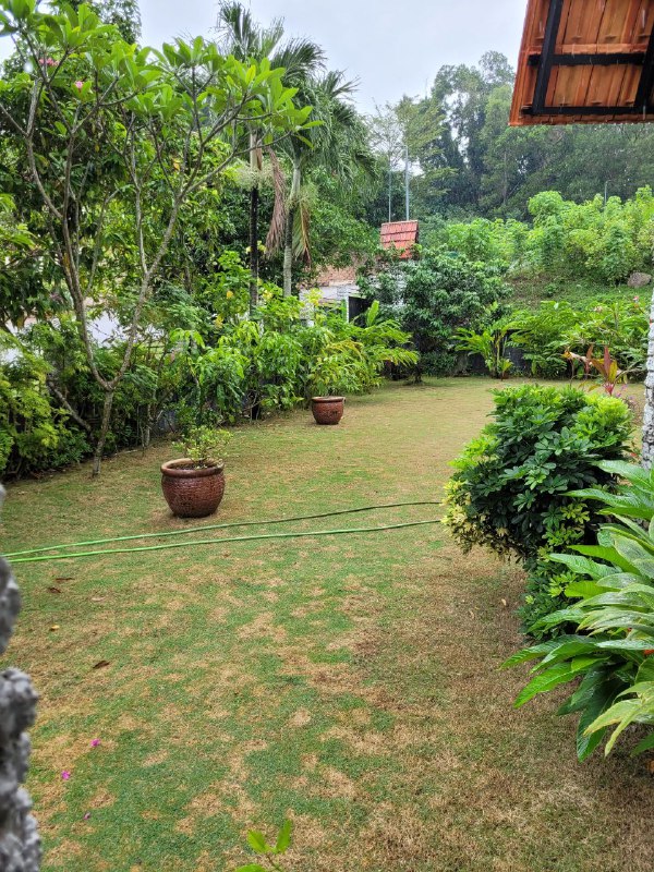 Seksyen 7 Shah Alam - photo 5