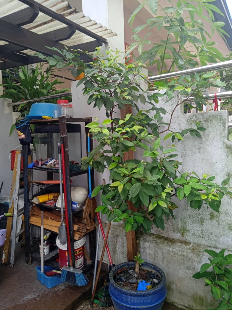 BK5, Bandar Kinrara - photo 5