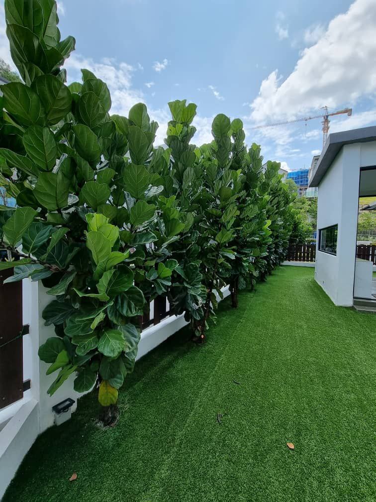 Verge 32, Taman Melawati - photo 6