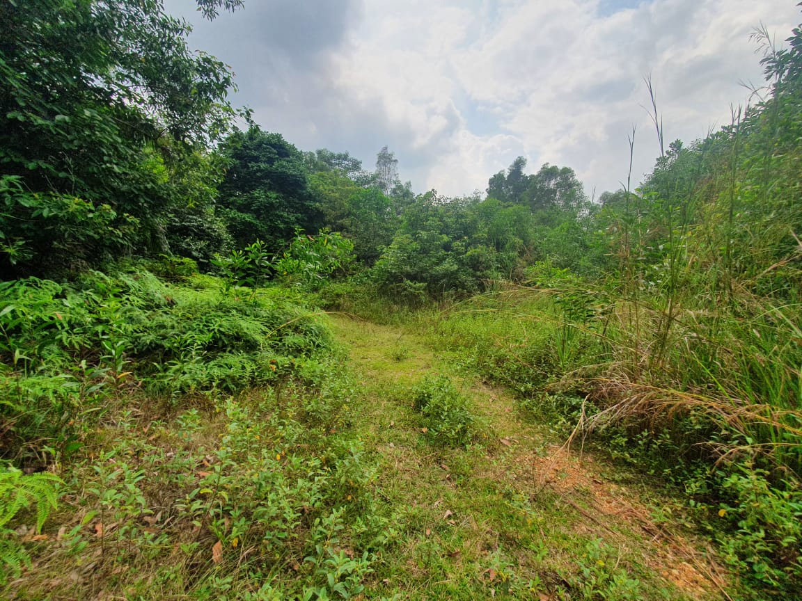 Shah Alam - photo 6