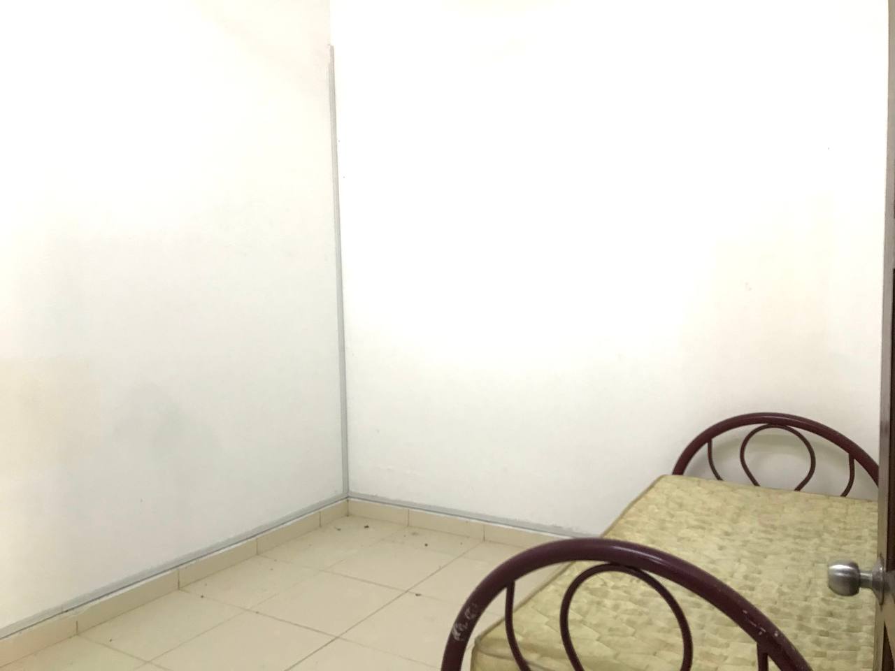 Taman Tasik Tambahan Ampang - photo 5