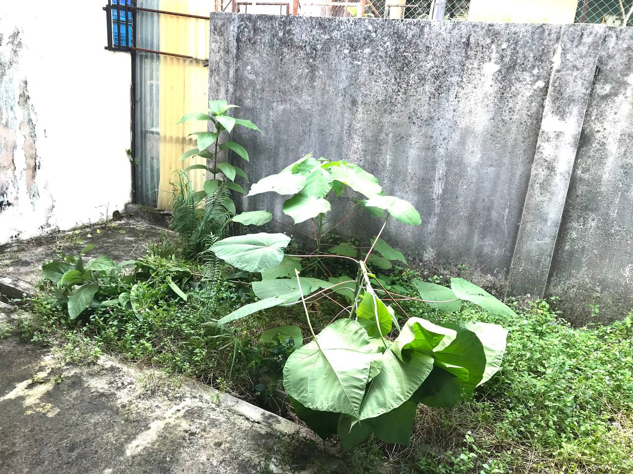 Taman Tasik Tambahan Ampang - photo 9
