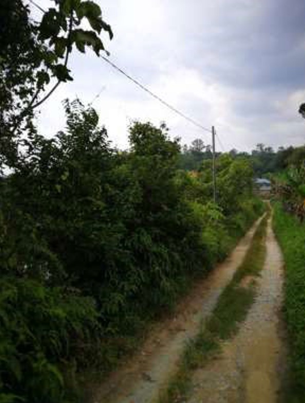 Agriculture Land Hulu Langat Selangor - photo 6