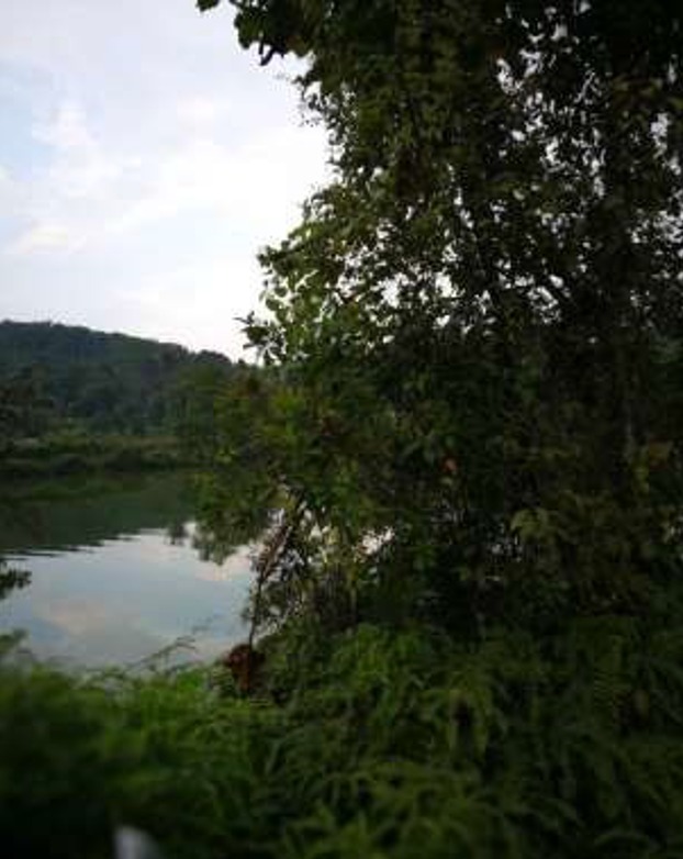 Agriculture Land Hulu Langat Selangor - photo 7