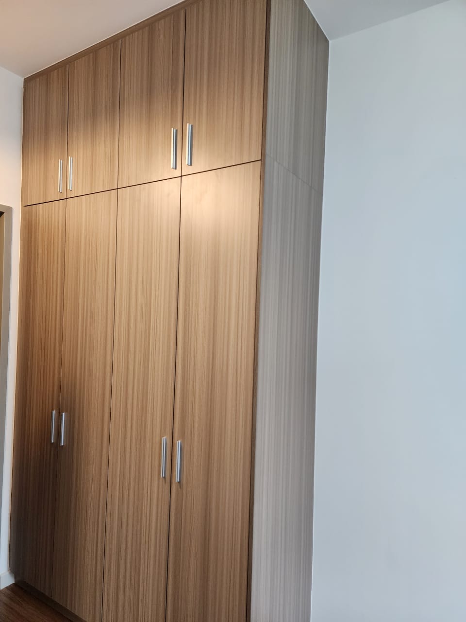 M vertica - photo 5