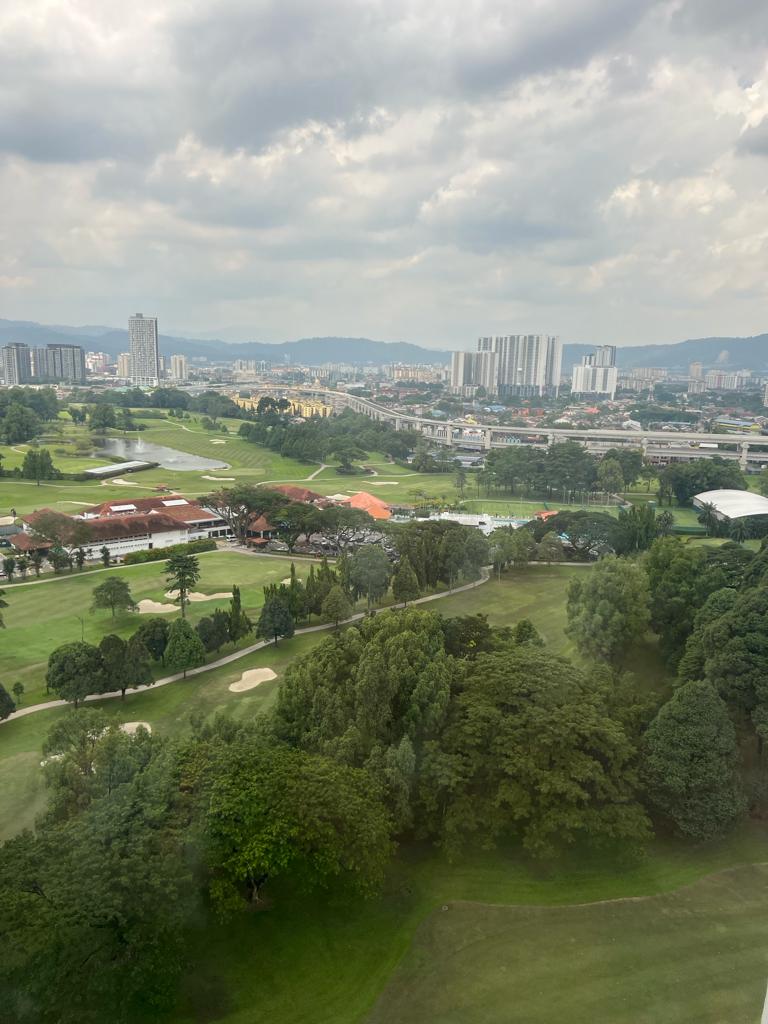 The Horizon Residences - photo 10
