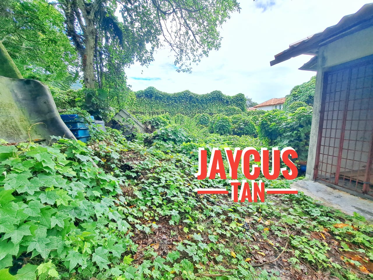 BL Jalan Lim Mah Chye RM21Mil - photo 6