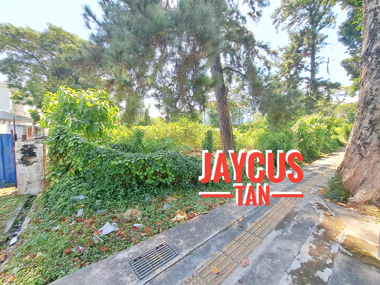 PTBL Jalan Brown Road RM24-59Mil - photo 7