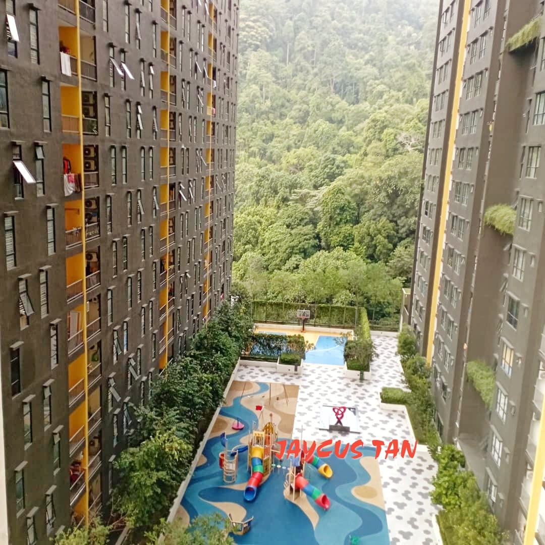 Tri Pinnacle rm1600 - photo 6