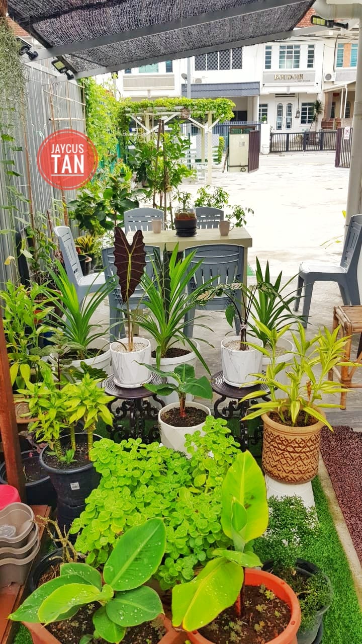M LORONG BIRCH RM11,000 - photo 12