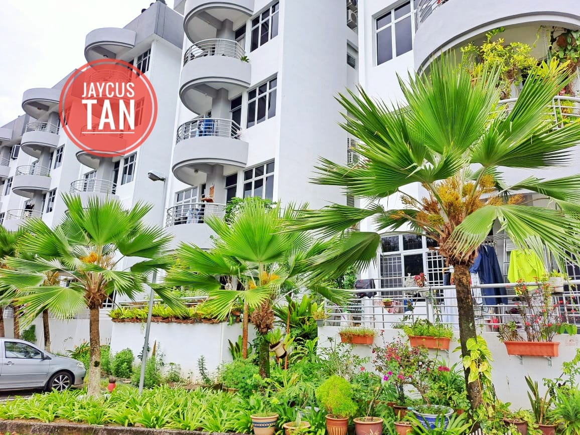 M Leader Garden at Tanjung Bungah RM450K - photo 2