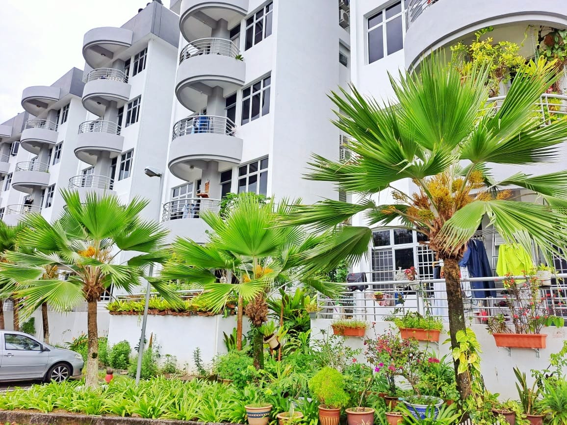PG Leader Garden at Tanjung Bungah RM450K - photo 2