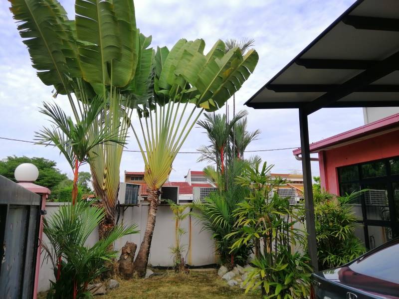 Corner Lot Shoplot Ss4 Petaling Jaya by Jay Ng - photo 6