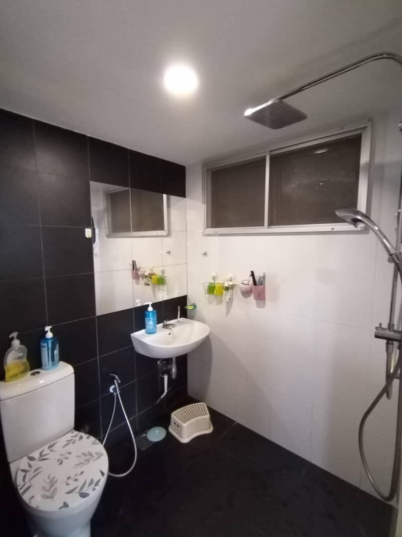 Palm Spring Kota Damansara Reno By Jay Ng - photo 8