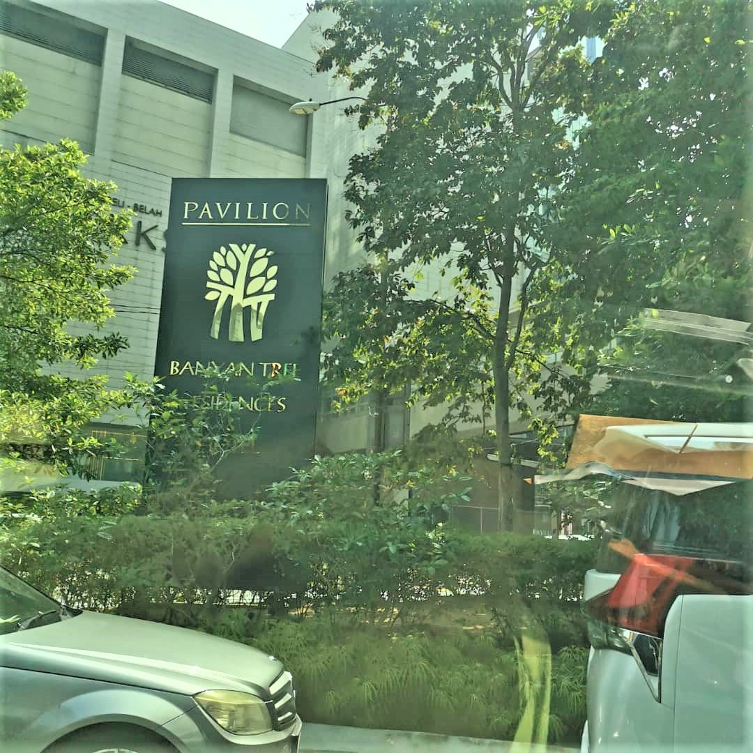 BANYAN TREE 2B - photo 6