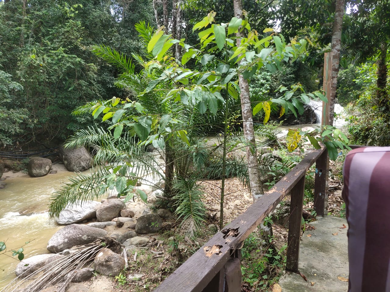 Bentong MAX - photo 9