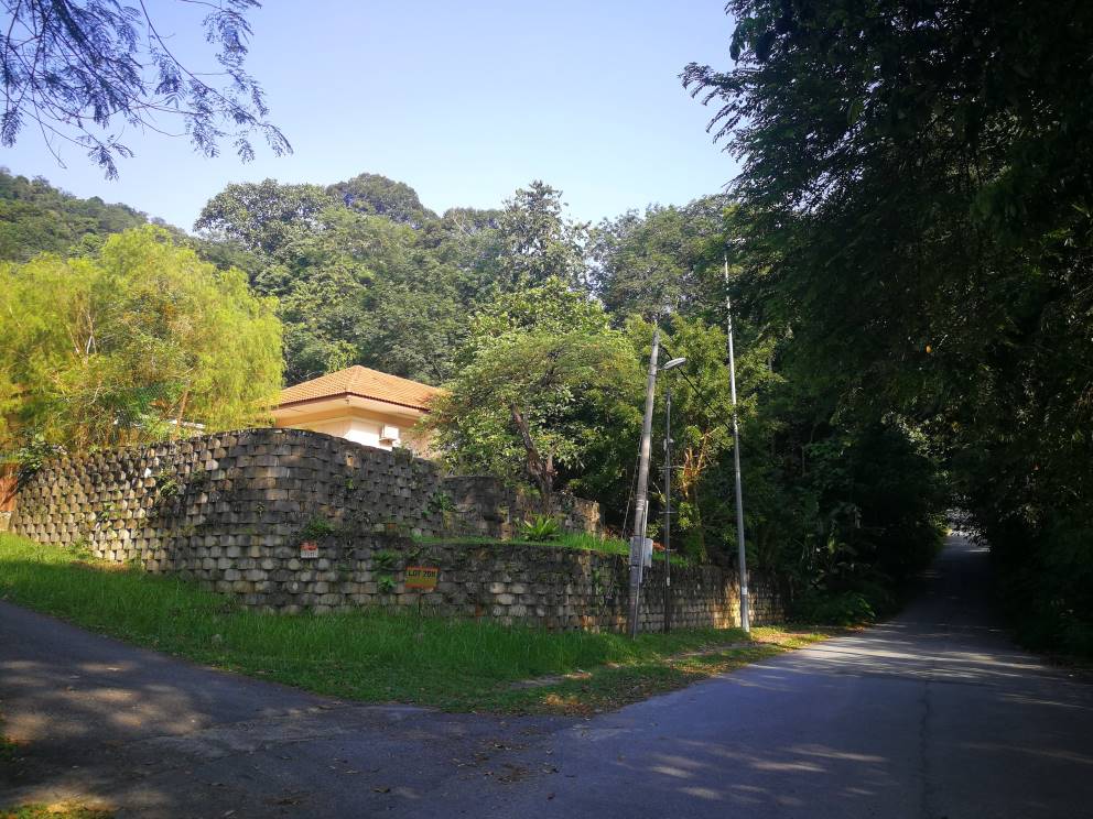 Hillside land with v ...