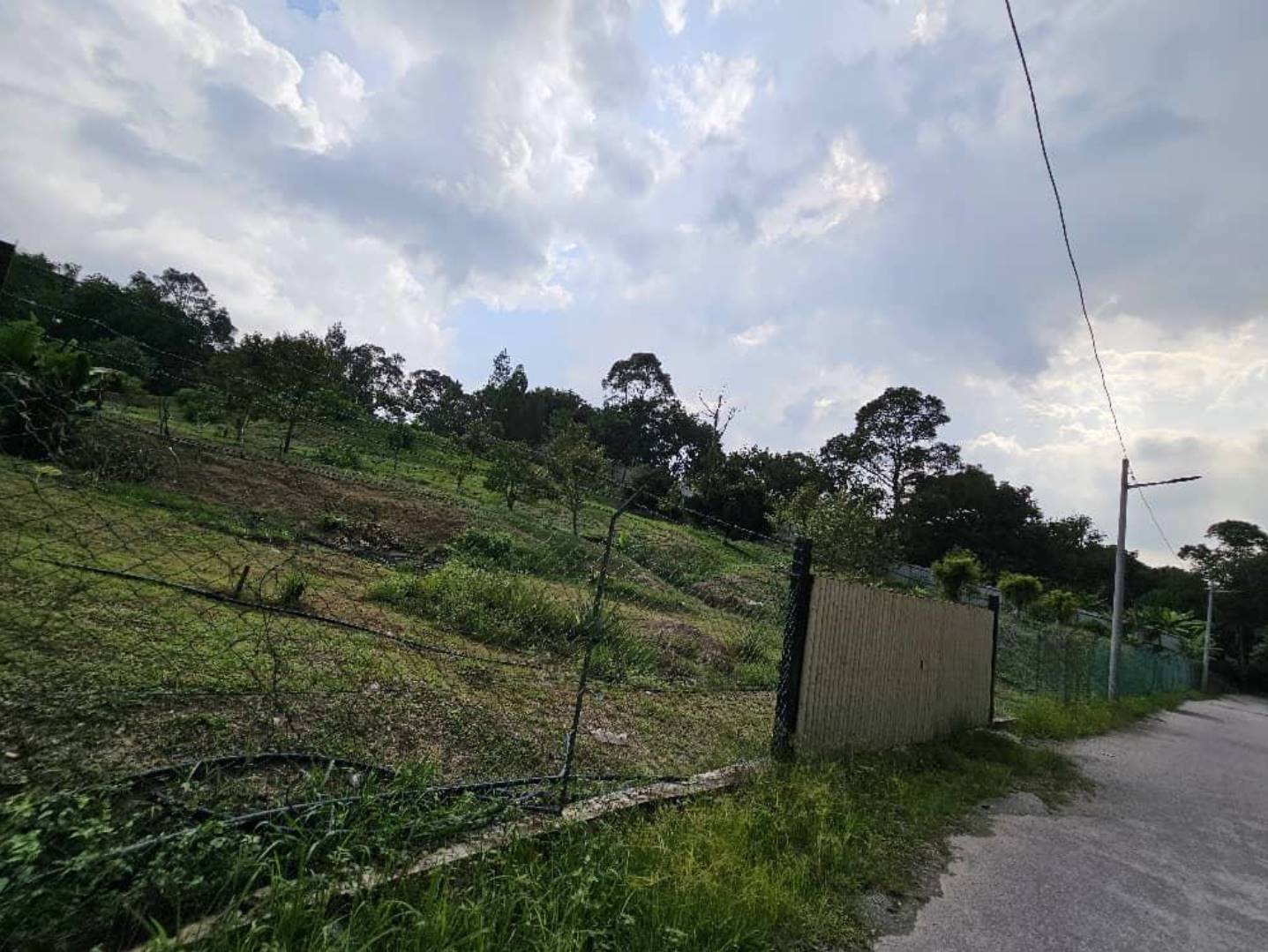 Durian orchard in Hu ...