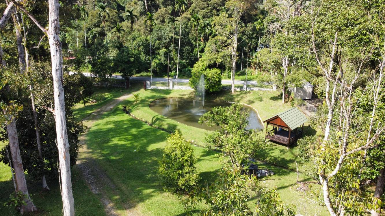 2 ekar dusun, rumah kayu dan kolam di Sg Congkak - photo 4