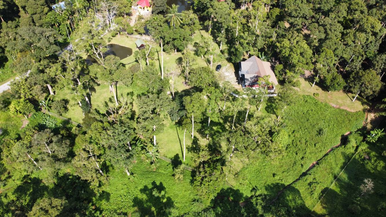 2 ekar dusun, rumah kayu dan kolam di Sg Congkak - photo 8
