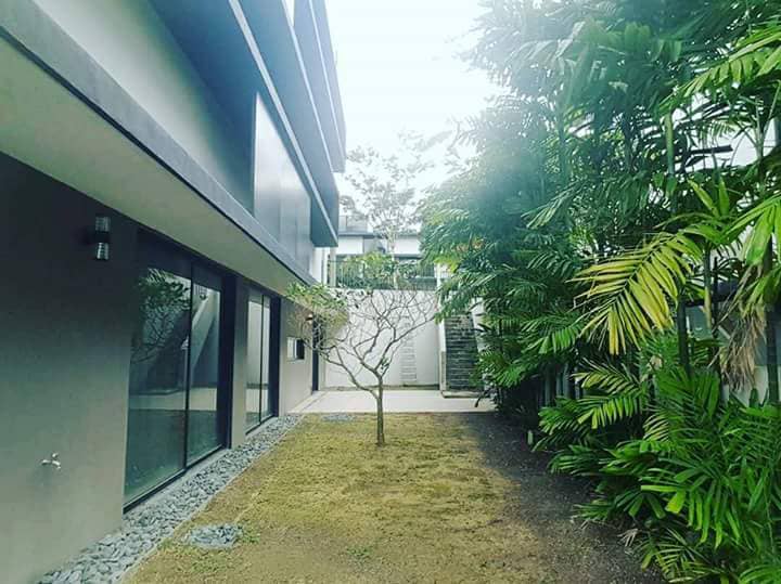 20 trees gereld - photo 3