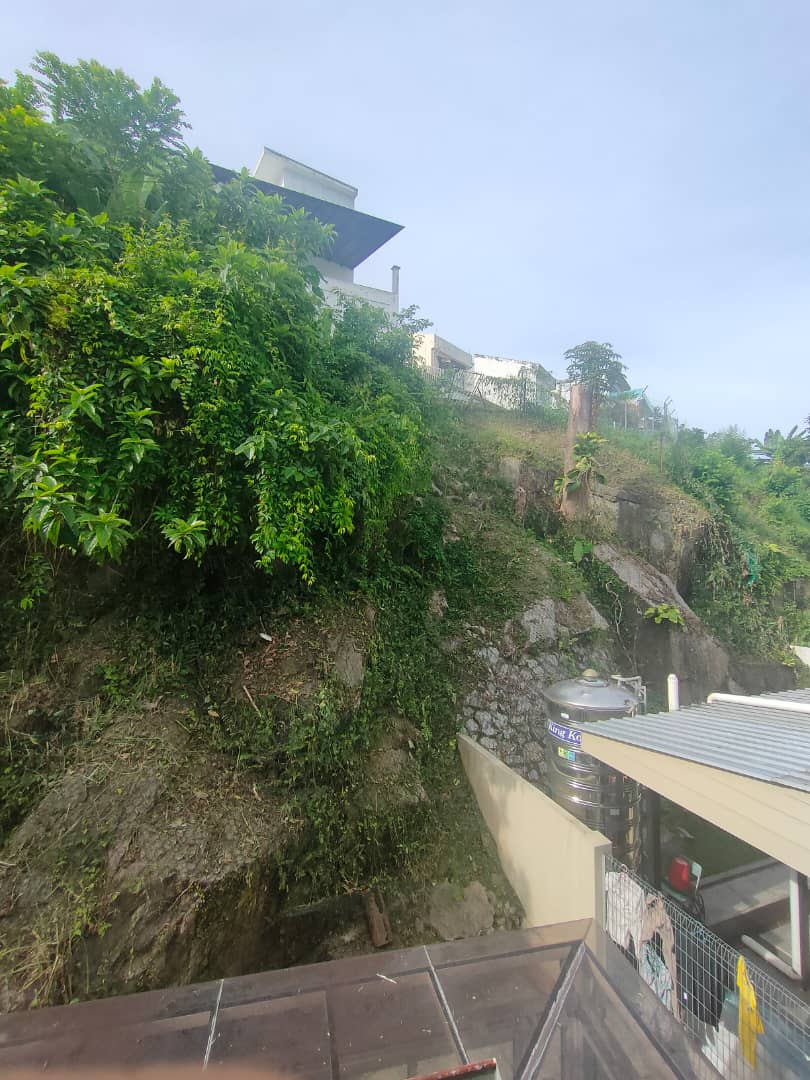 Wangsa Ukay Dr Neoh - photo 8