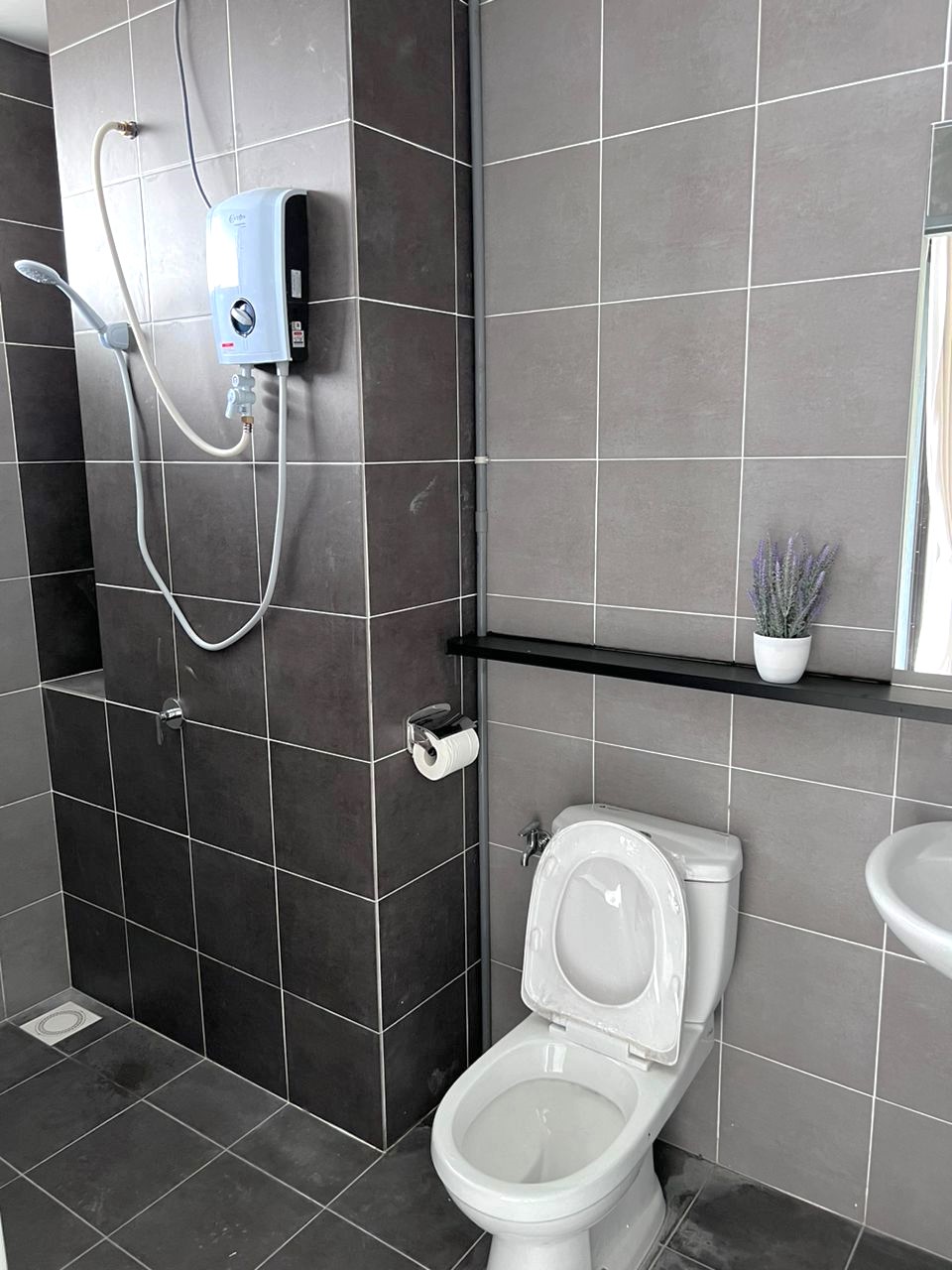 The Netizen RENT OUT - photo 4