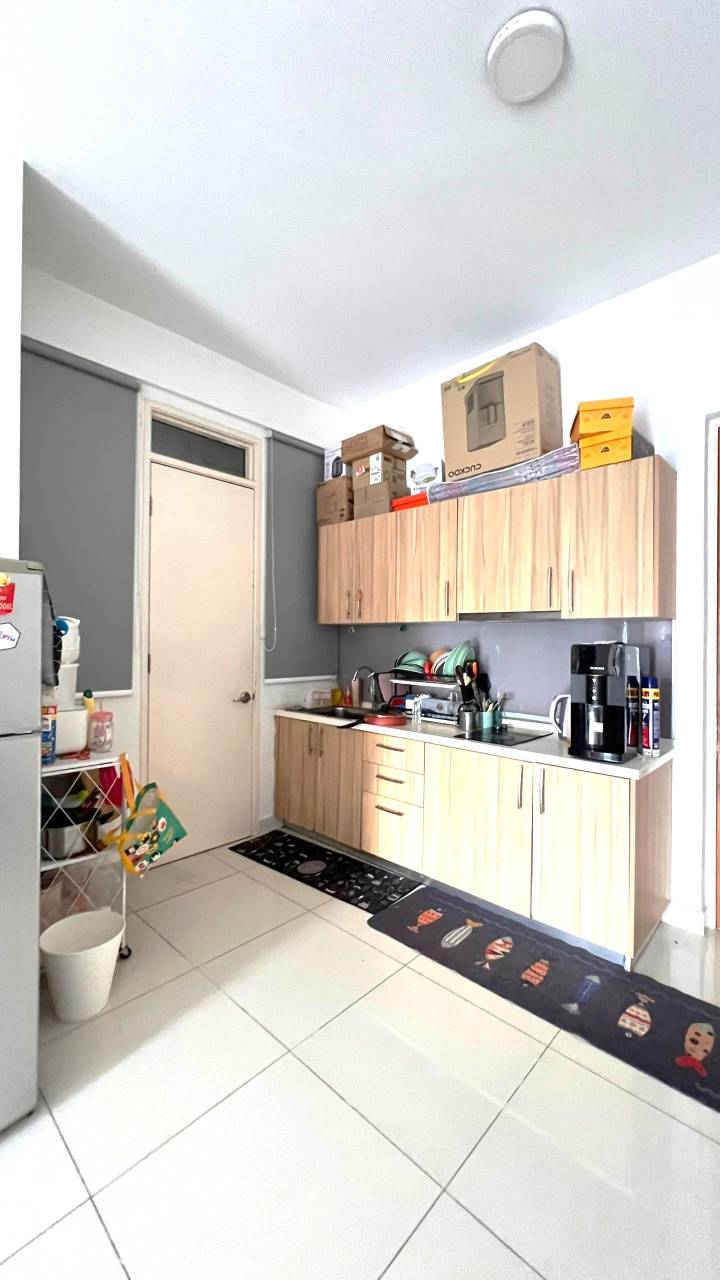 Shamelin Star RENTED - photo 2
