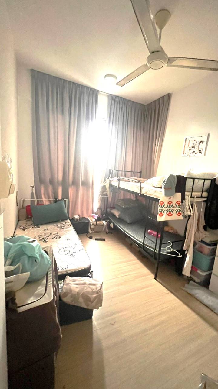 Shamelin Star RENTED - photo 5