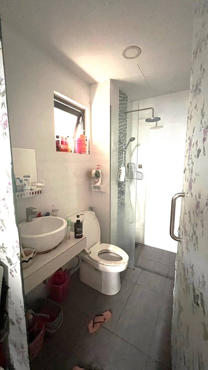 Shamelin Star RENTED - photo 6