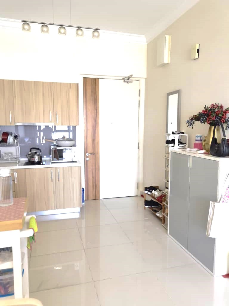 Shamelin Star RENTED - photo 2