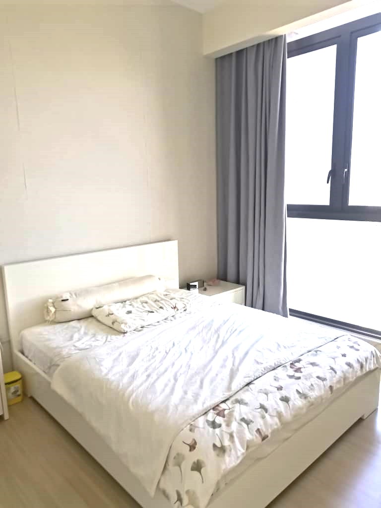 Shamelin Star RENTED - photo 3
