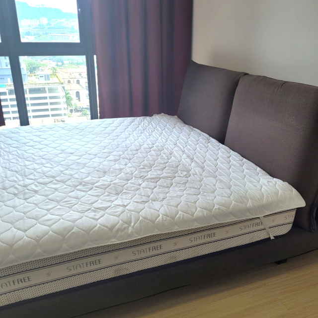 Shamelin Star RENTED - photo 4