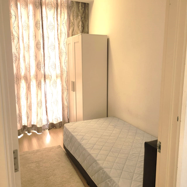 Shamelin Star RENTED - photo 6