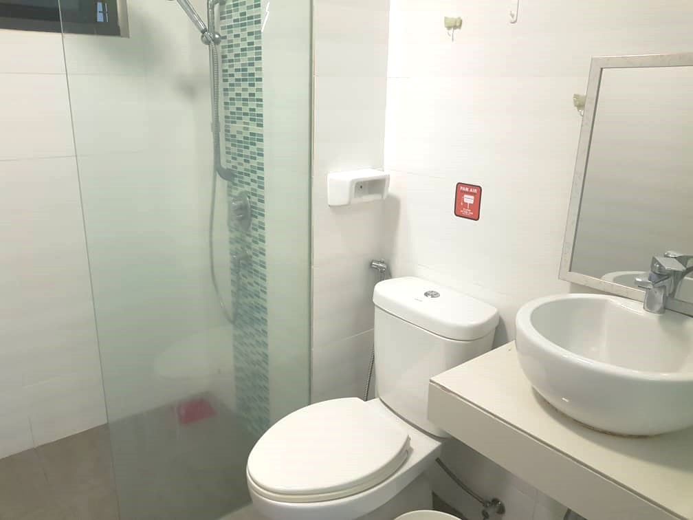 Shamelin Star RENTED - photo 8