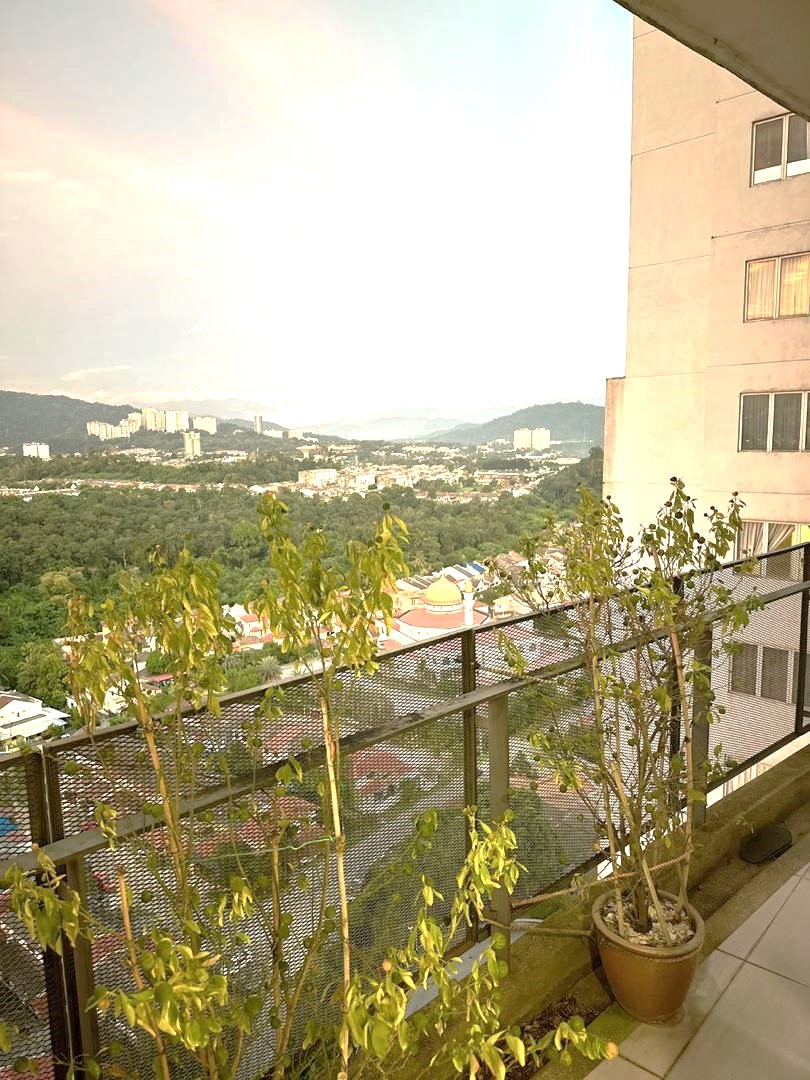 Casa Green - photo 9