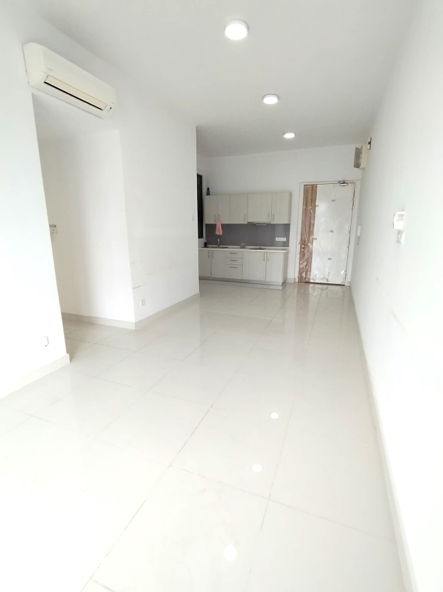 Shamelin Star RENTED - photo 3