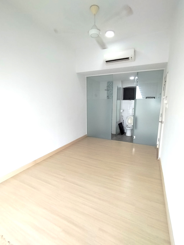 Shamelin Star RENTED - photo 4