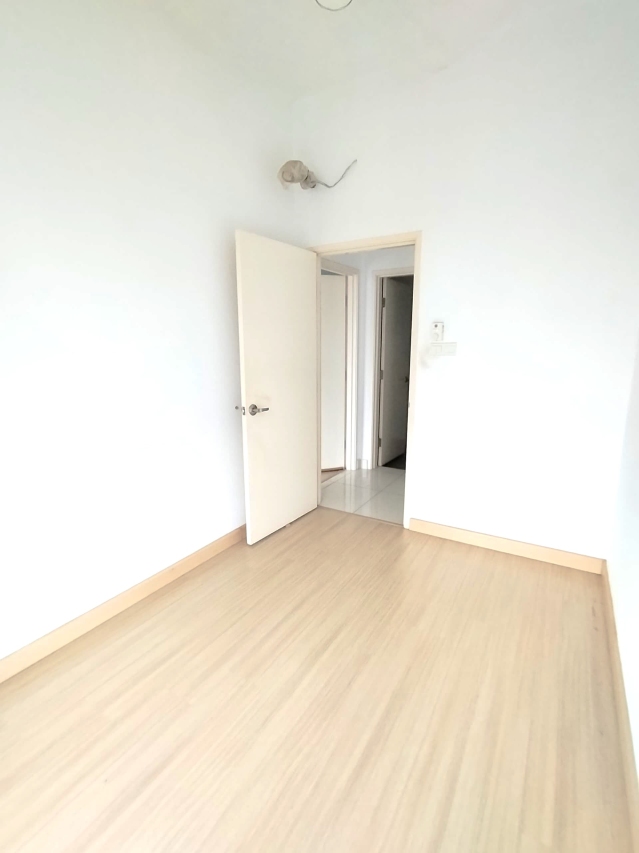 Shamelin Star RENTED - photo 6