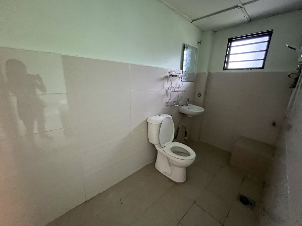 Petaling Jaya Section 5 - photo 11