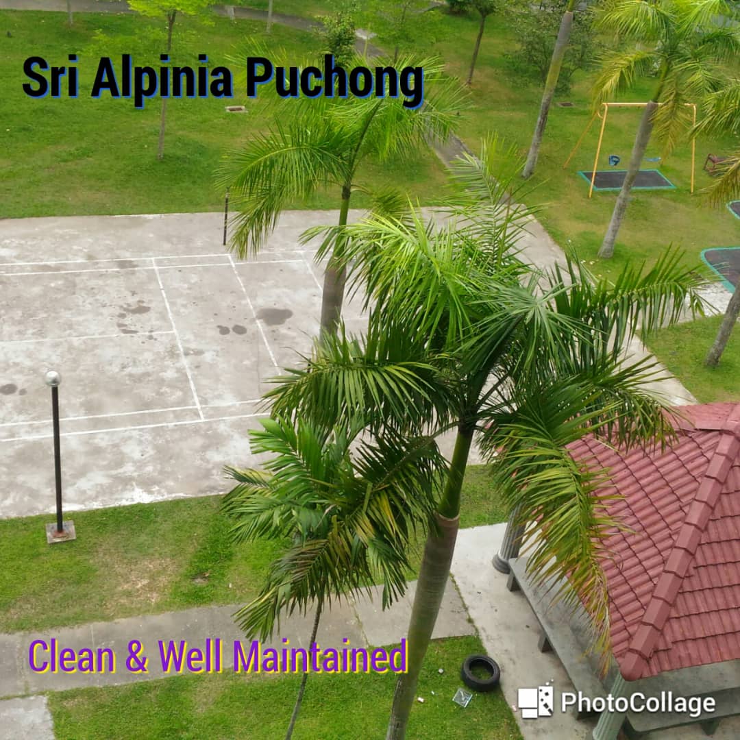 Sri Alpinia - photo 7