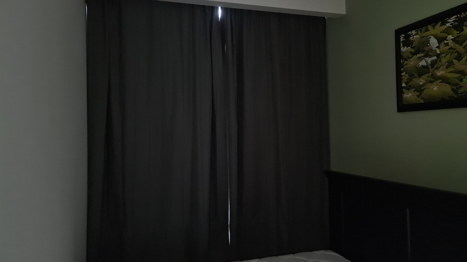 Avara Residence - photo 11