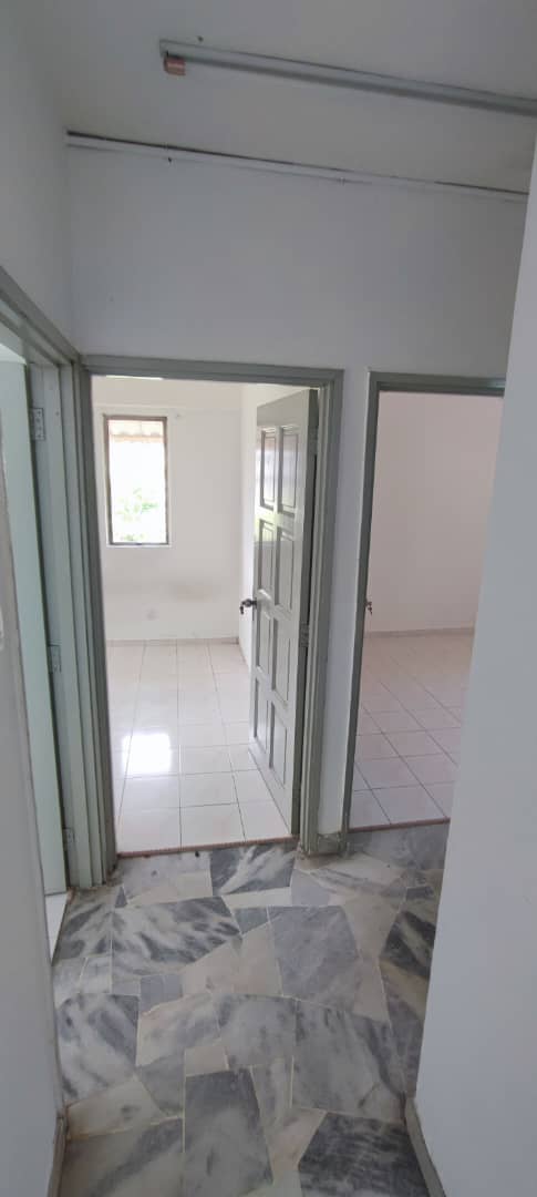 Pinang 1B - photo 7
