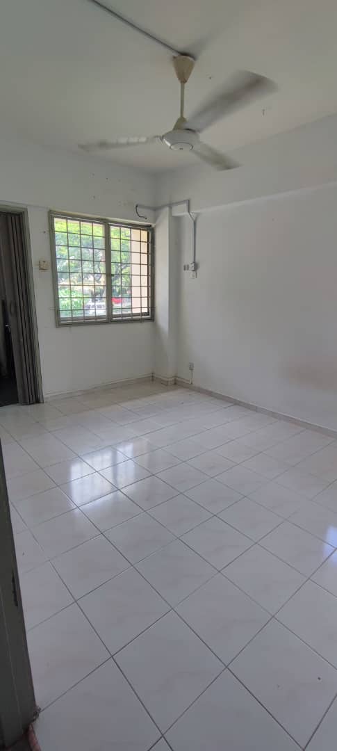 Pinang 1B - photo 8