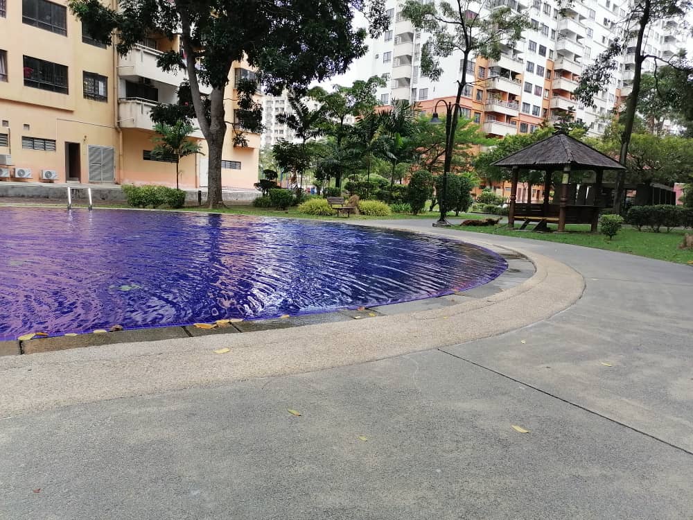 Vista Millennium - photo 5