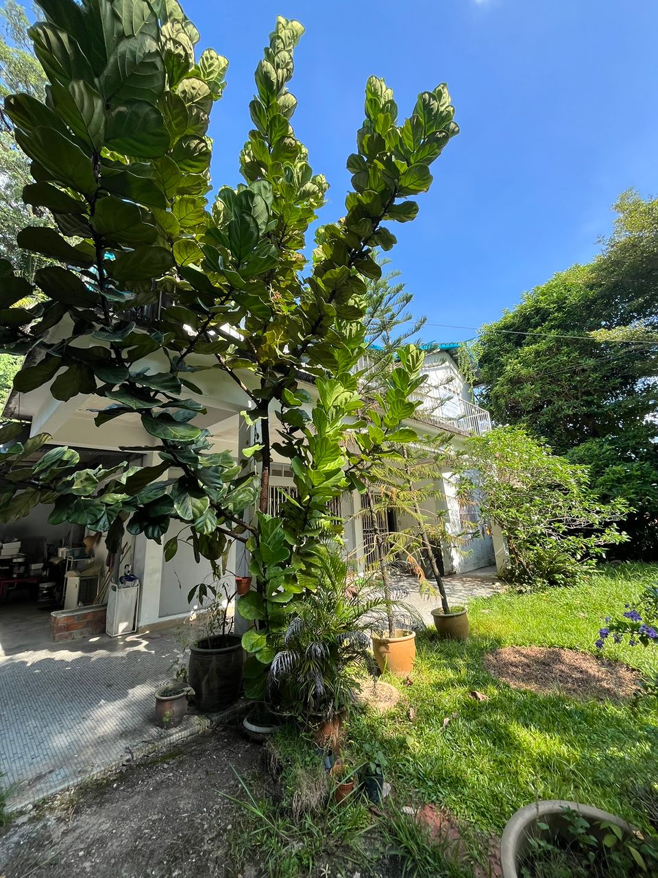 Taman Desa - photo 2