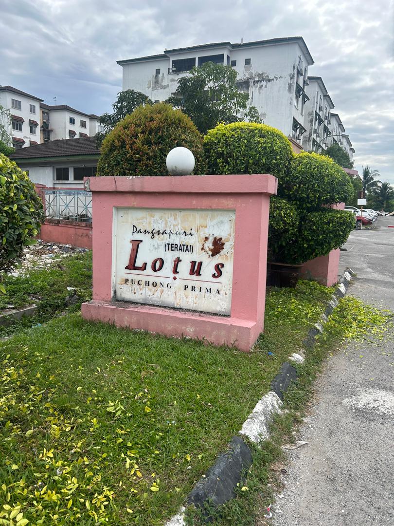 Lotus Apartment - photo 10